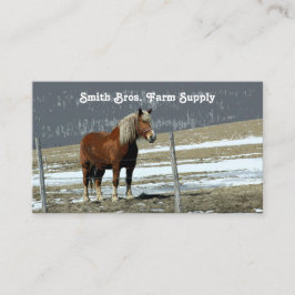Belgische Pferdefuhrkarte in Paddock Visitenkarte