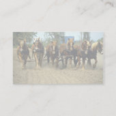 Belgische pflügende Pferde, six-up, rote Visitenkarte (Rückseite)