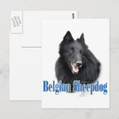 Belgische Schafname Postkarte (Vorne/Hinten)