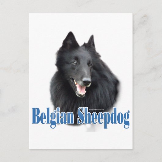 Belgische Schafname Postkarte (Vorderseite)