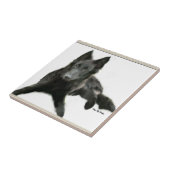 Belgische Sheepdog Art Fliese (Seite)