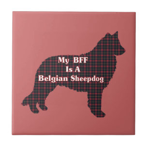 Belgische Sheepdog-BESTE FREUNDIN Fliese