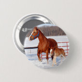 Belgische Stute und Stutenfohlen Button (Vorne & Hinten)