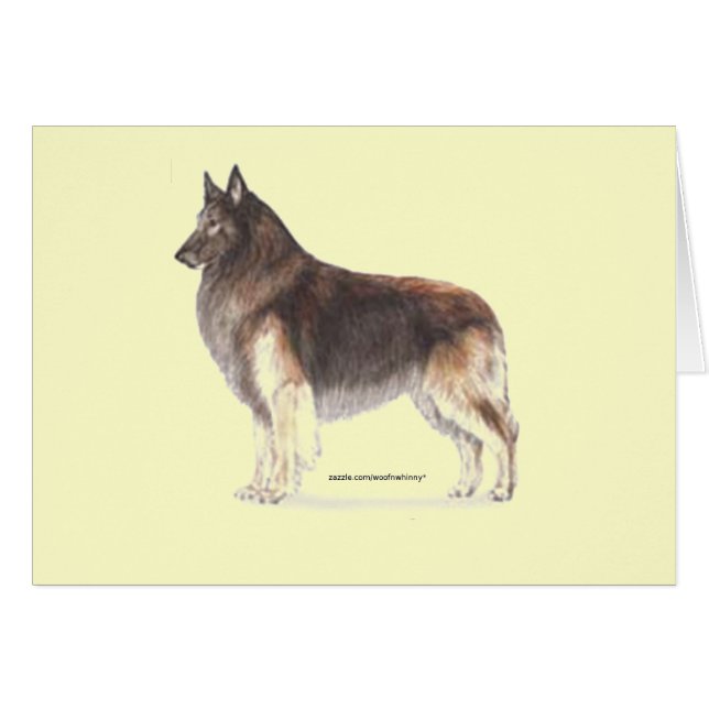 Belgische Tervuren (Vorderseite (Horizontal))