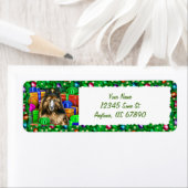 Belgische Tervuren Christmas Open Now Labels (Insitu)