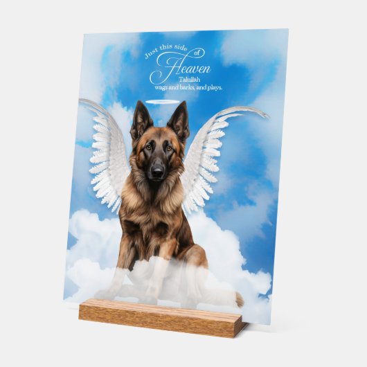 Belgische Tervuren Dog Angel mit Name Pet Memorial Acrylschild (Winkel)
