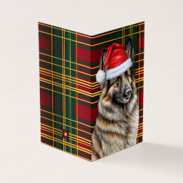 Belgische Tervuren Dog Holiday Karierte Weihnachts