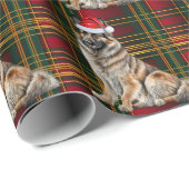 Belgische Tervuren Dog und Holiday Kariert Weihnac Geschenkpapier (Rolleneckpunkt)