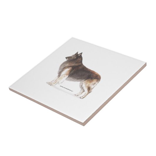 Belgische Tervuren Fliese (Seite)