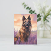 Belgische Tervuren im Lavendel-Feld Postkarte (Stehend Vorderseite)
