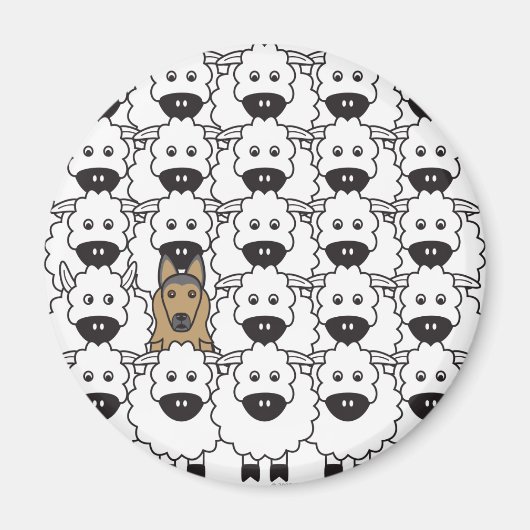 Belgische Tervuren im Schaf Magnet (Vorne)