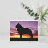 Belgische Tervuren Postkarte (Stehend Vorderseite)