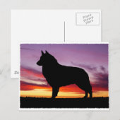 Belgische Tervuren Postkarte (Vorne/Hinten)