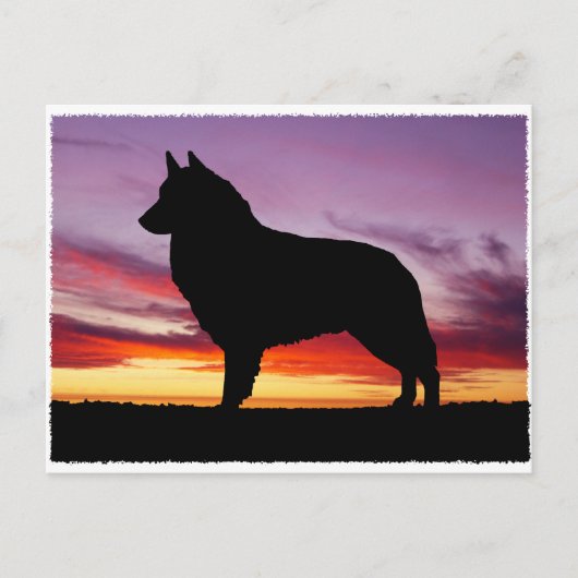Belgische Tervuren Postkarte (Vorderseite)