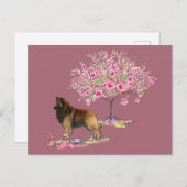 Belgische Tervuren Postkarte (Vorne/Hinten)