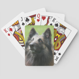 Belgische Tervuren Spielkarten