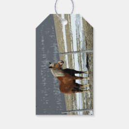 Belgischer Entwurf für Pferd in Paddock - Geschenk Geschenkanhänger