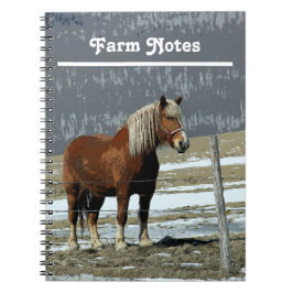 Belgischer Entwurf für Pferd in Paddock Spiral Not Notizblock