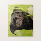 Belgischer Griffon Dog. Puzzle (Vertikal)