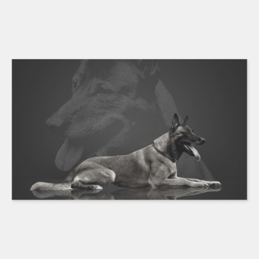 Belgischer Hirte - Malinois Rechteckiger Aufkleber (Vorderseite)