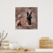 Belgischer Hirte von Malinois - Mechelaar Poster (Küche)