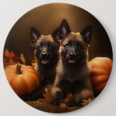 Belgischer Hirte Welpe Herbst Kürbis Button (Vorderseite)