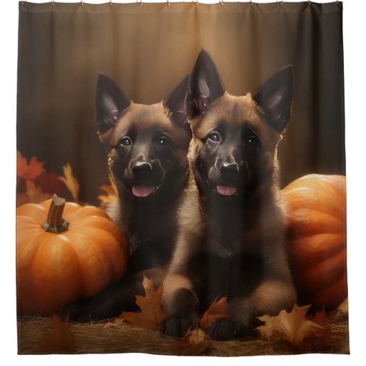 Belgischer Hirte Welpe Herbst Kürbis Duschvorhang (Vorderseite)