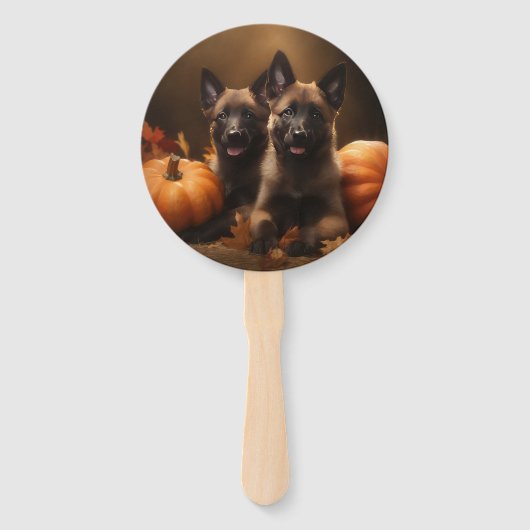 Belgischer Hirte Welpe Herbst Kürbis Fächer (Vorderseite)