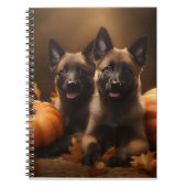 Belgischer Hirte Welpe Herbst Kürbis Notizblock (Vorderseite)