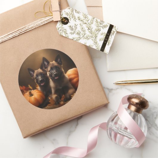 Belgischer Hirte Welpe Herbst Kürbis Runder Aufkleber (Schenken)