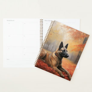 Belgischer Malinoi im Herbstlaubfall inspiriert Planer