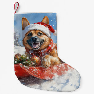 Belgischer Malinoi im Schlitten Lass es schneien W Kleiner Weihnachtsstrumpf