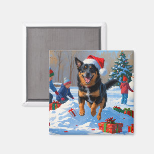 Belgischer Malinoi Weihnachtsfestliche Schneeszene Magnet