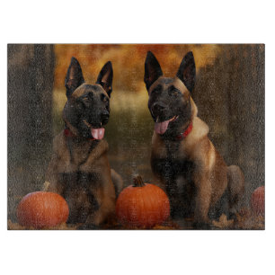 Belgischer Malinoi Welpe Herbstfreude Kürbis Schneidebrett