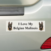 Belgischer Malinois Autoaufkleber (Auf Auto)
