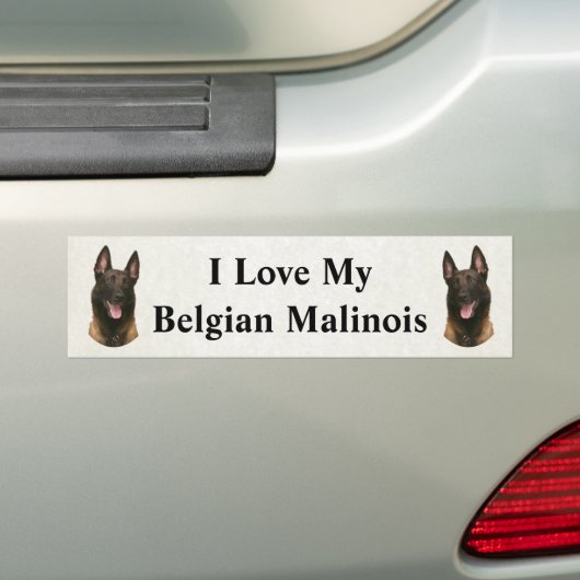 Belgischer Malinois Autoaufkleber (Auf Auto)