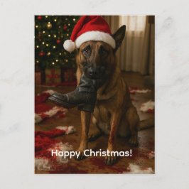 Belgischer Malinois hat Weihnachtsmann-Weihnachtsk Feiertagspostkarte