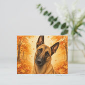 Belgischer Malinois Herbstwald Hund Postkarte (Stehend Vorderseite)