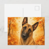 Belgischer Malinois Herbstwald Hund Postkarte (Vorne/Hinten)