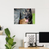 Belgischer Malinois-Hund lächeln Poster (Heimbüro)