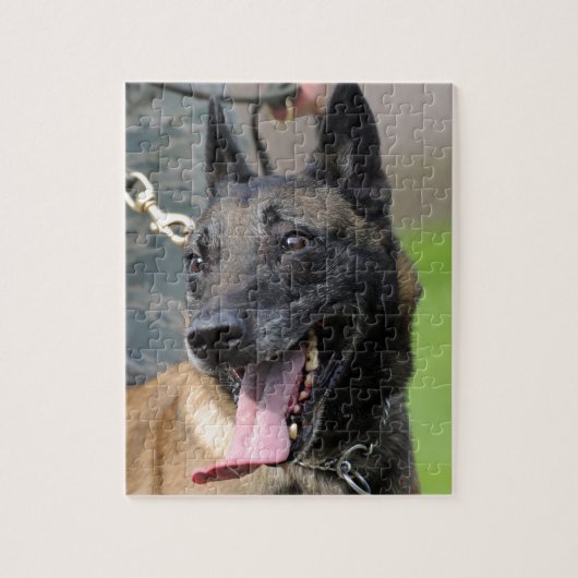 Belgischer Malinois-Hund lächeln Puzzle (Vertikal)