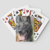 Belgischer Malinois-Hund lächeln Spielkarten (Rückseite)