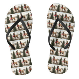 Belgischer Malinois-Hund zu Schneeschweihnachtsfes Badesandalen