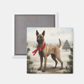 Belgischer Malinois-Hund zu Schneeschweihnachtsfes Magnet (Vorderseite/Rückseite)
