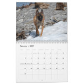 Belgischer Malinois-Kalender Kalender (Feb 2027)