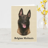 Belgischer Malinois Karte (Gelbe Blume)