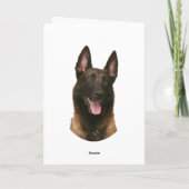 Belgischer Malinois Karte (Rückseite)