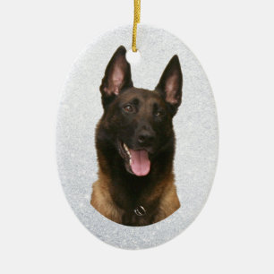 Belgischer Malinois Keramik Ornament