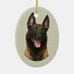 Belgischer Malinois Keramikornament