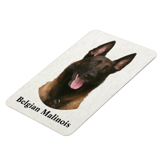 Belgischer Malinois Magnet (Linke Seite)